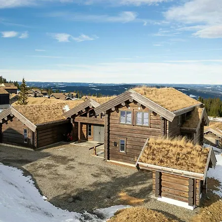 Σπίτι διακοπών Luxurious Log At Mostertoppen *