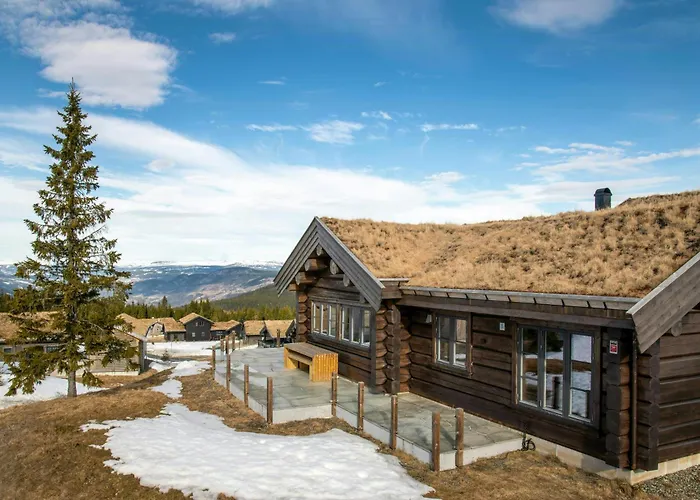 Luxurious Log At Mostertoppen *